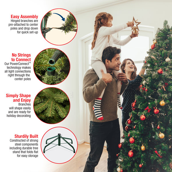 National Tree Company 12 Ft. PowerConnect Dunhill Fir With Dual Color Led Lights Australia